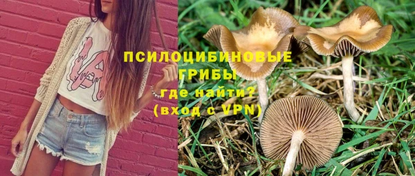 а пвп мука Зеленодольск