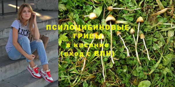 стафф Инсар