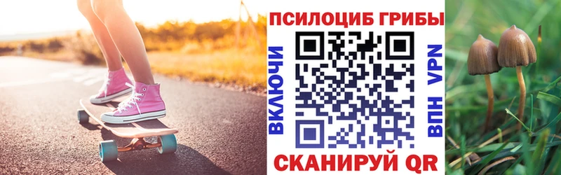 Псилоцибиновые грибы мицелий Купить где Клин